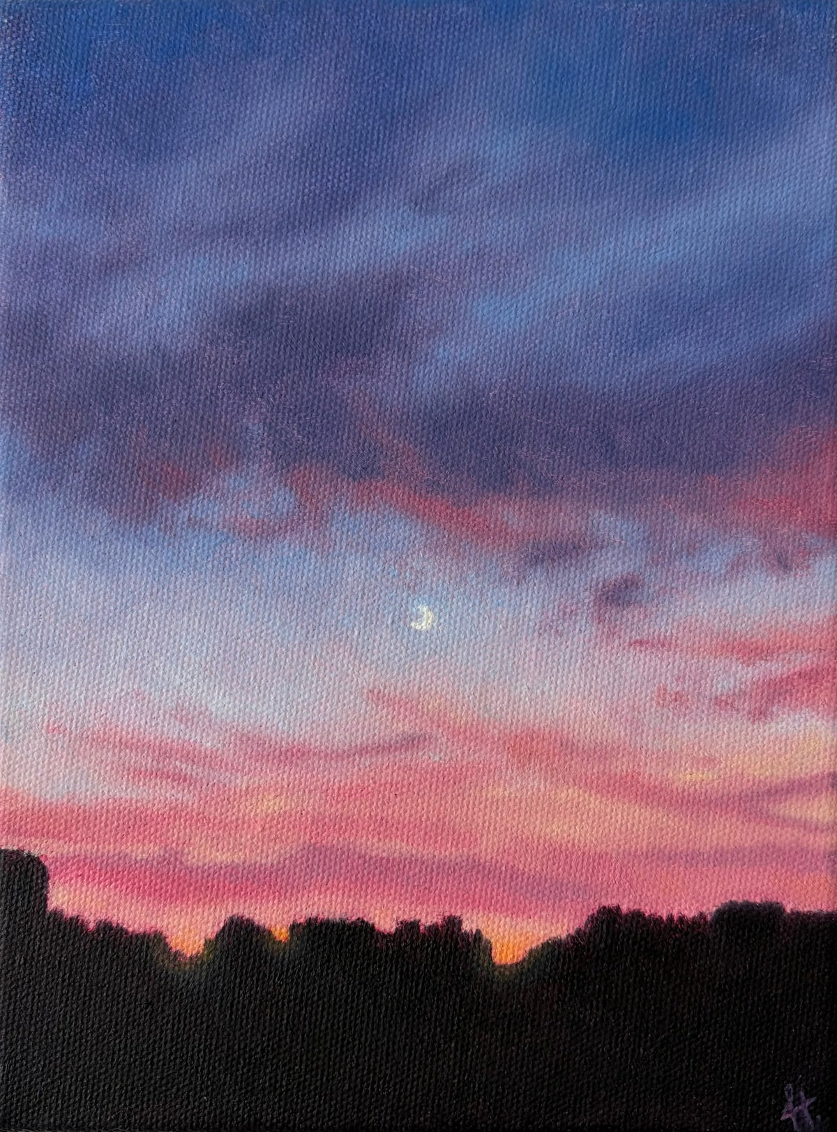 The Sky is Pink