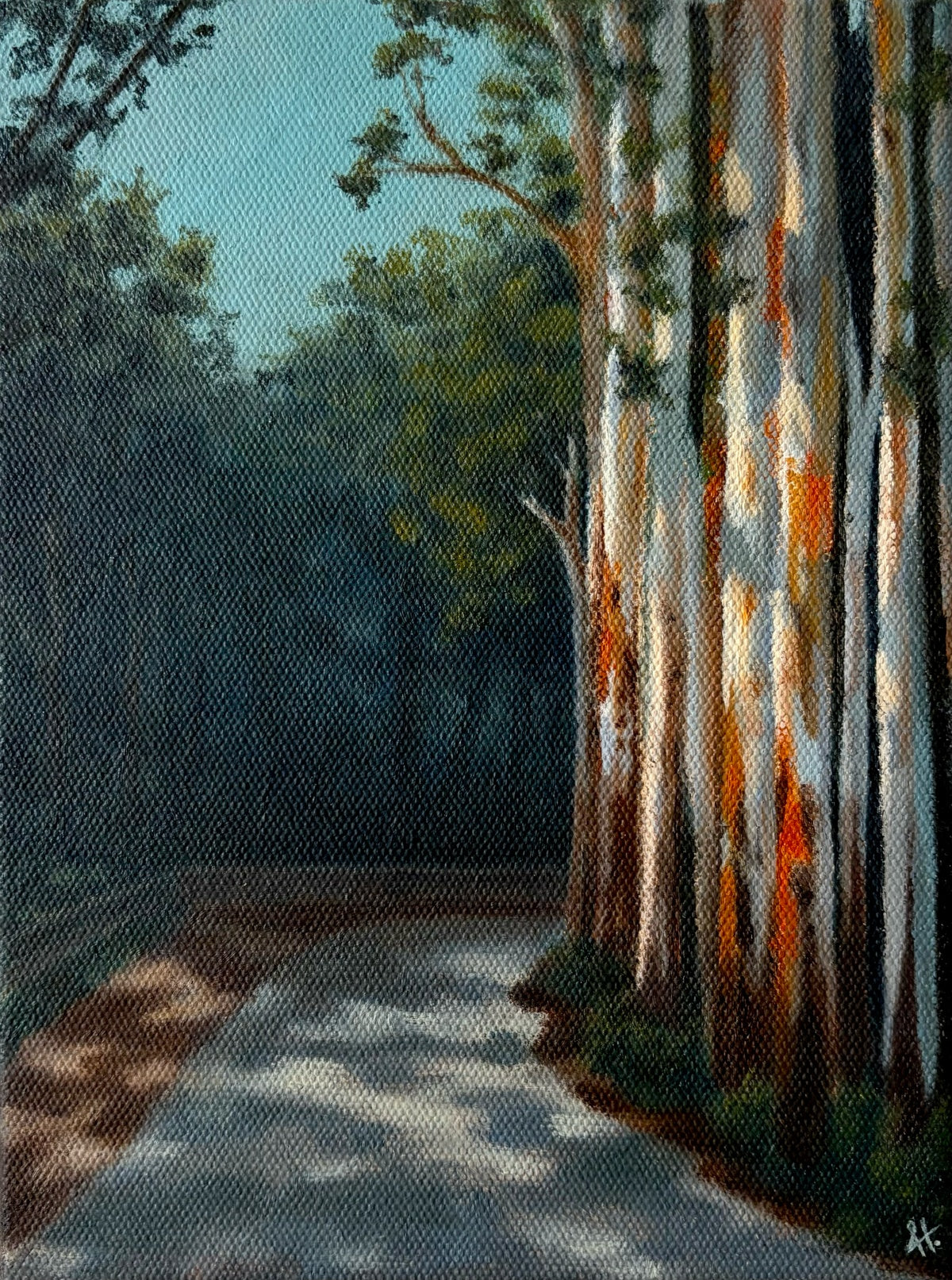 Into the forest